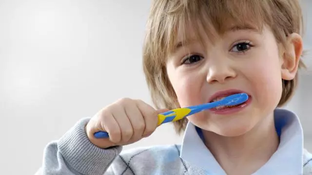 153 221601 habits child clean teeth