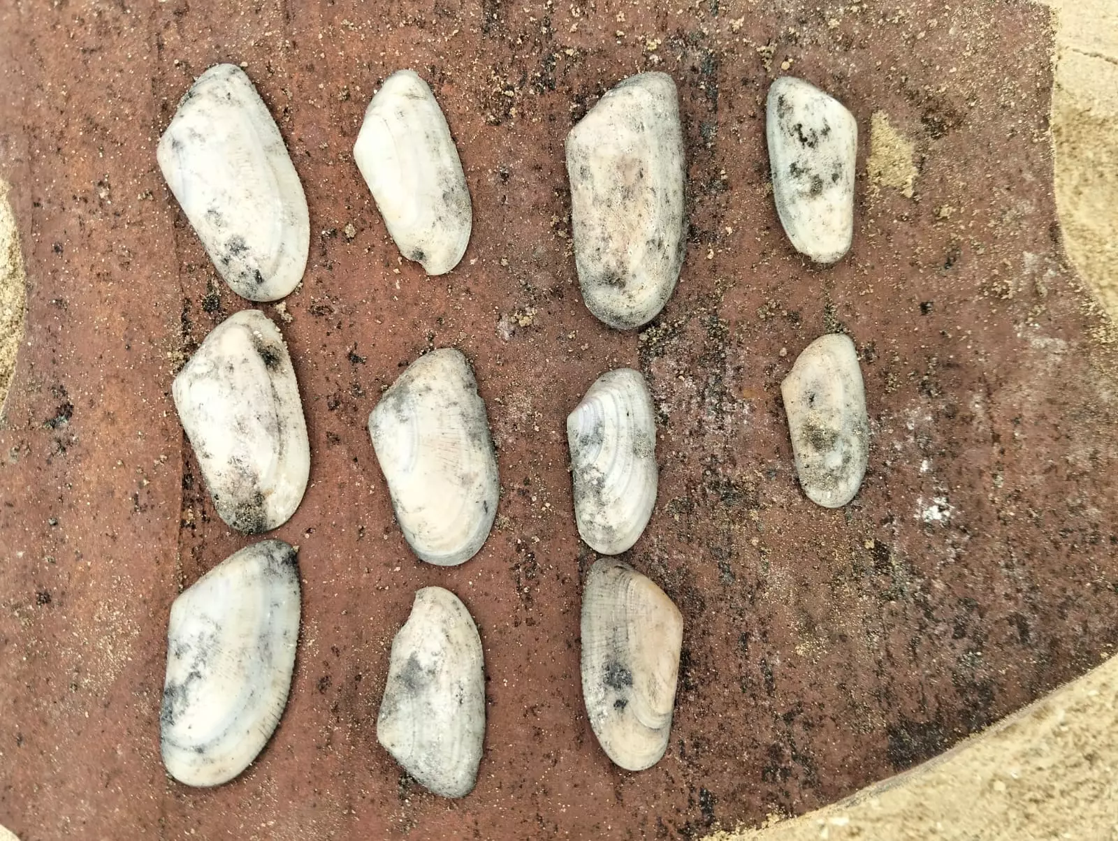 5936b883 138f 4eff 93ed ba4bcfff9245