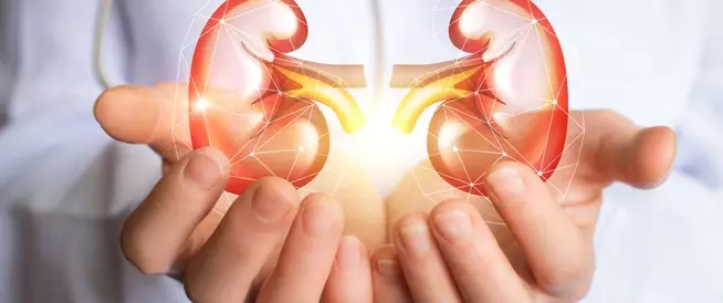 Tbl articles article 16049 32432ea9fe3 c7ac 4c52 bee5 4d19be3f8cd8