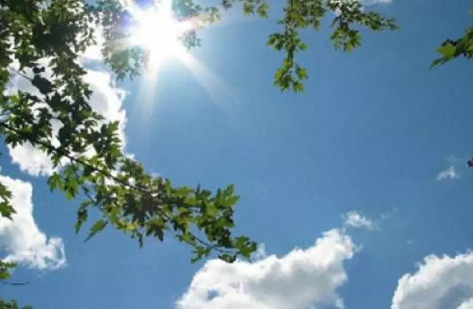 19 2024 638492067409589442