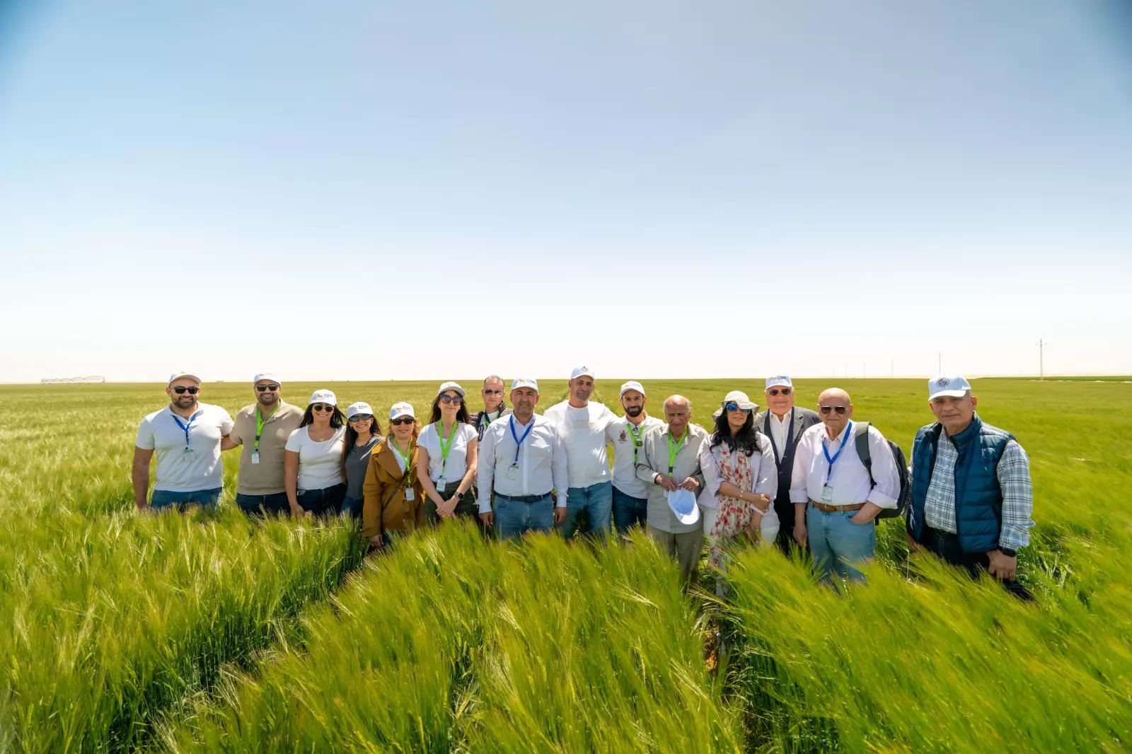 74a2efa8 3956 41c6 b0ab 9a400b69d2f1