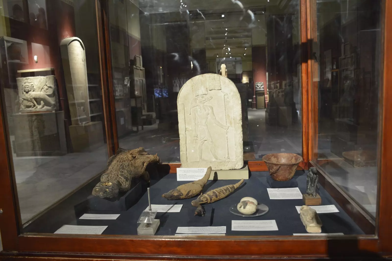 Ff1c4f54 6469 48f8 8b26 fdbf0be66f01